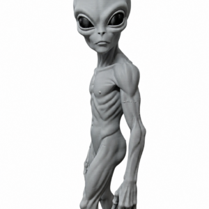 Figura Alienígena Gris The Watcher 25cm
