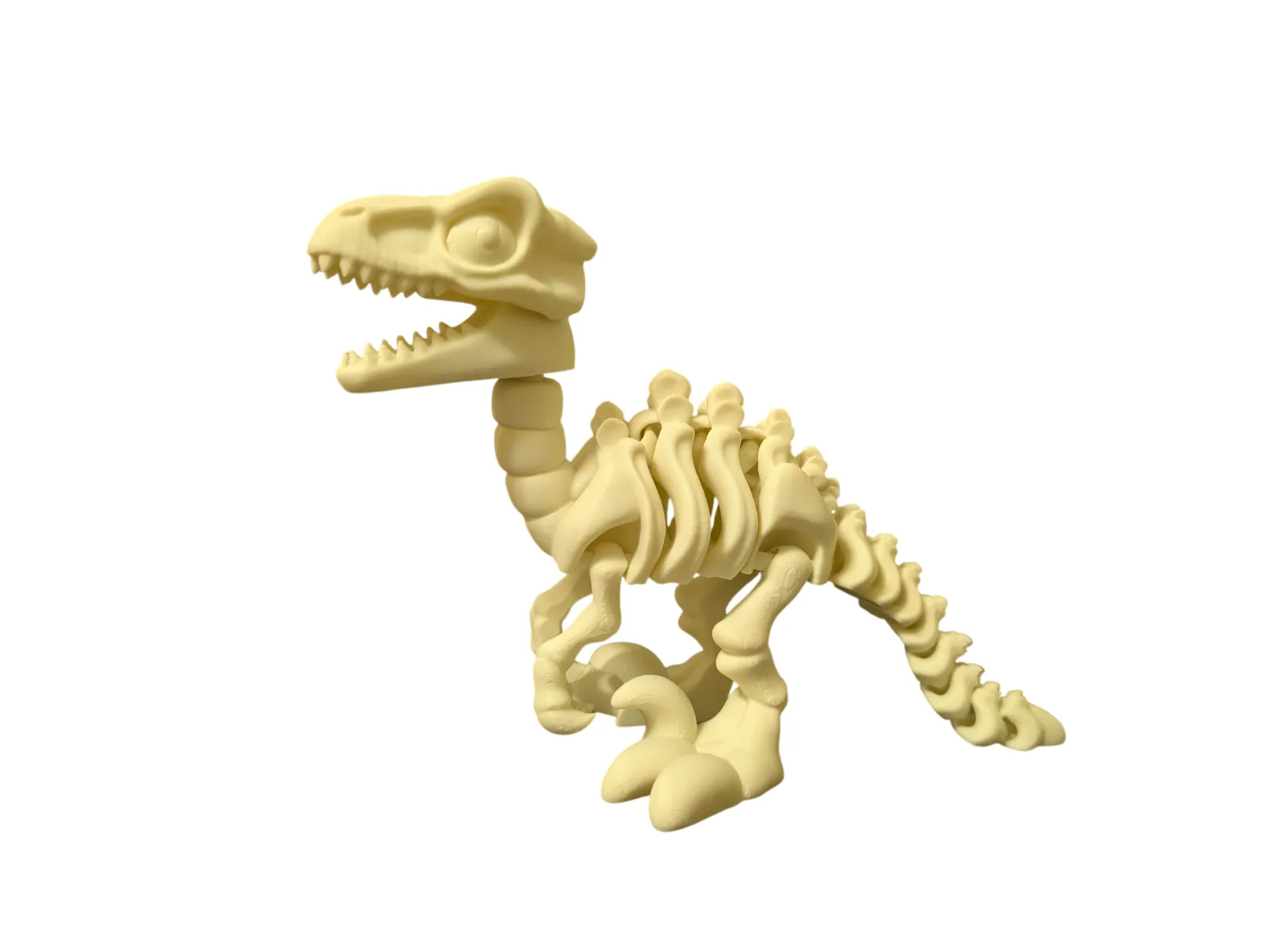 Velociraptor Esquelético Articulado - Imagen 2