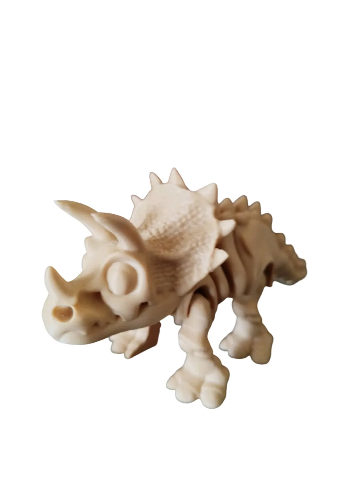 Triceratops Esquelético Articulado