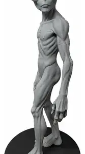 Figura AlienÃgena Gris The Watcher 25cm